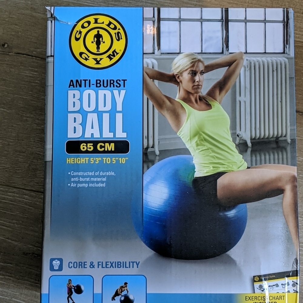 GOLDS GYM BODY BALL EXCELLENT CONDITION